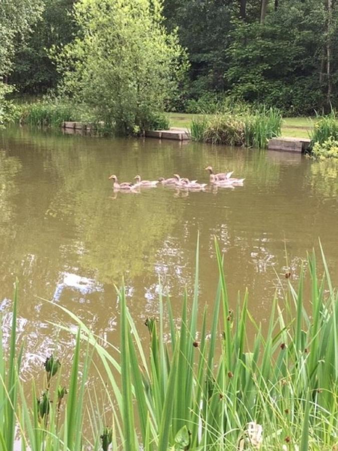 Hollicarrs Holiday Park - Hares Leap Riccall Екстериор снимка