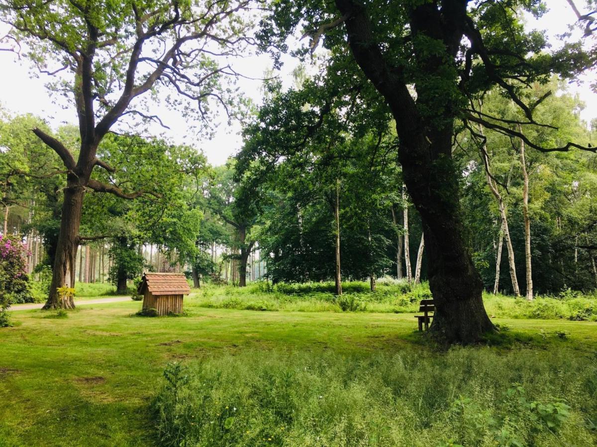 Hollicarrs Holiday Park - Hares Leap Riccall Екстериор снимка