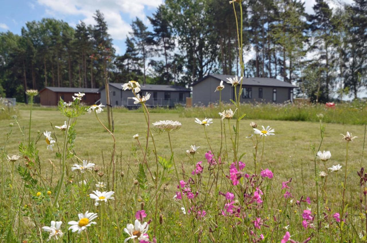 Hollicarrs Holiday Park - Hares Leap Riccall Екстериор снимка