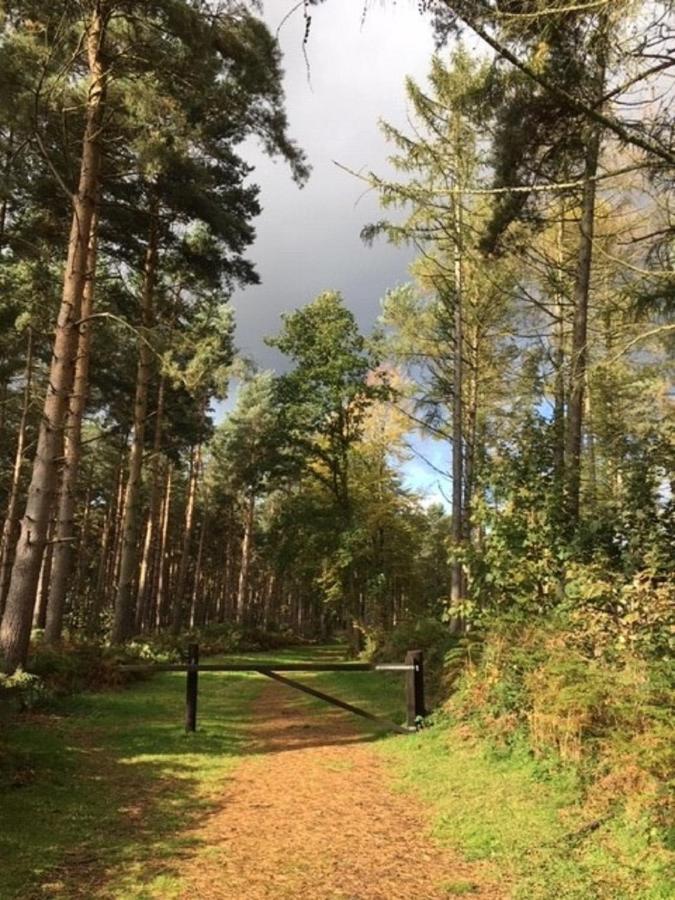 Hollicarrs Holiday Park - Hares Leap Riccall Екстериор снимка